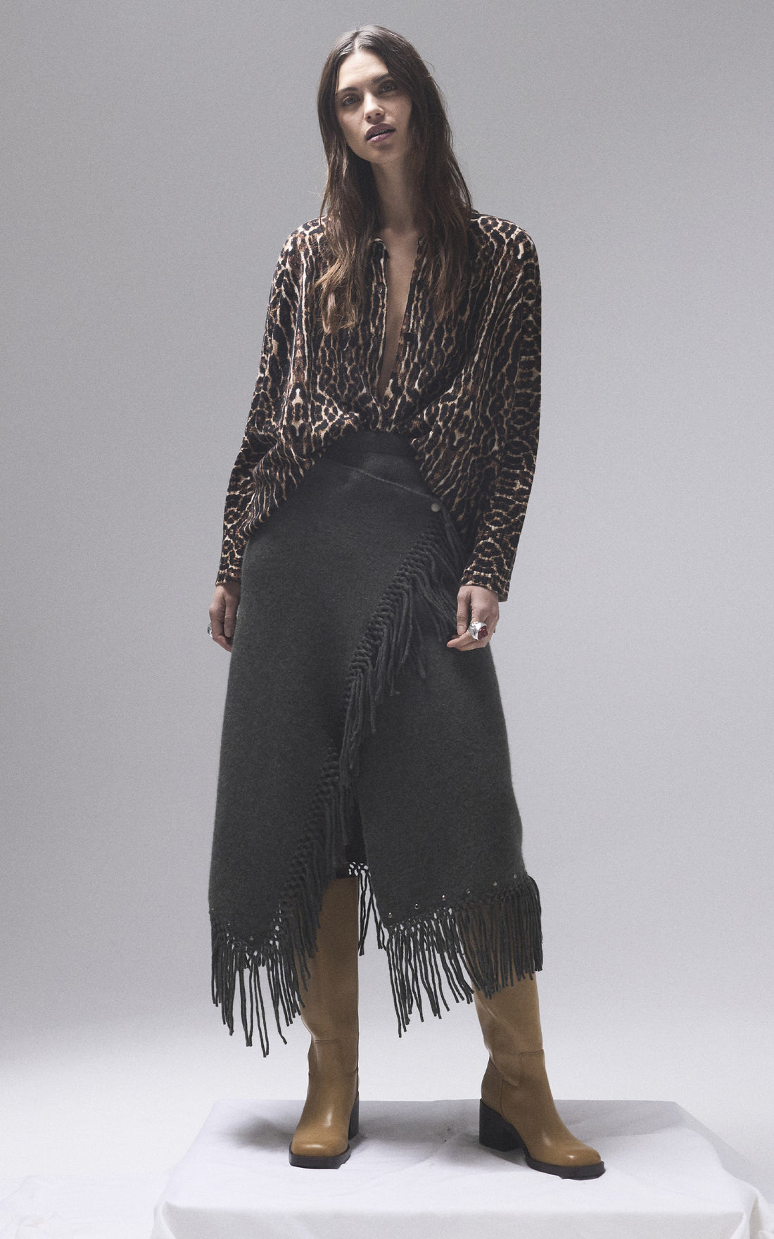 Image de LA CHEMISE LEE