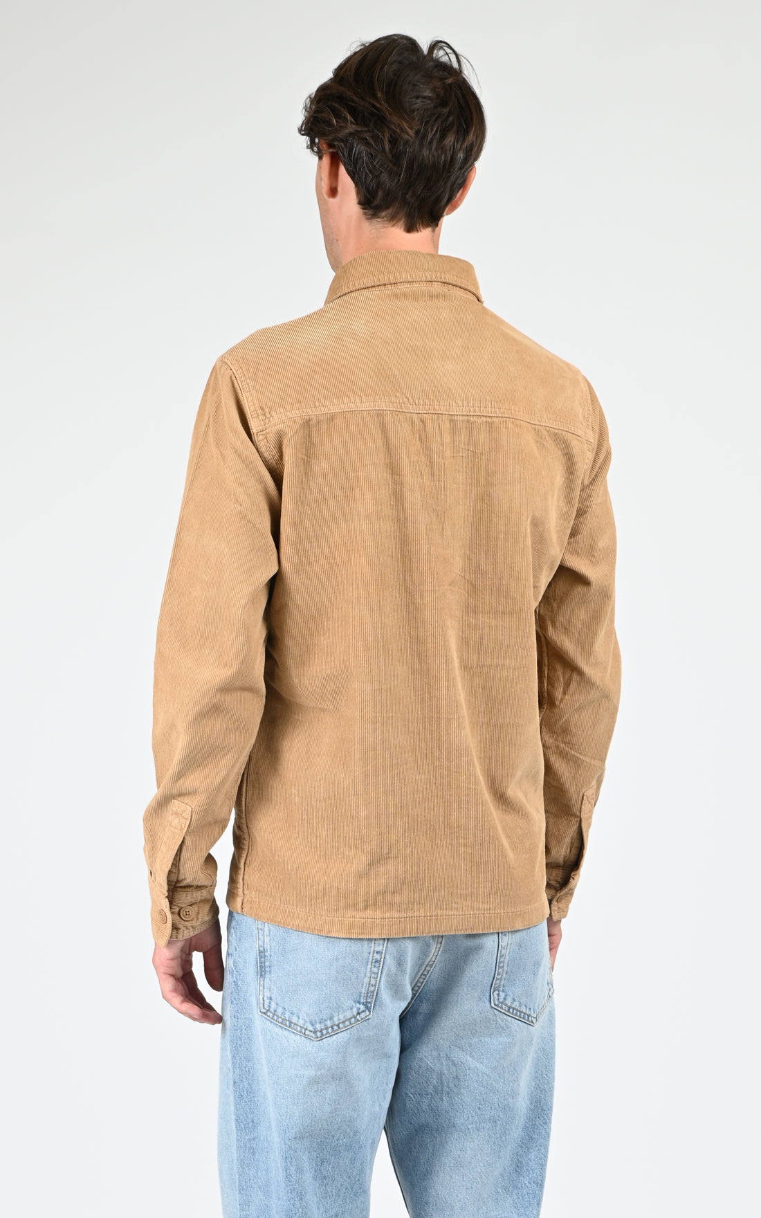 Veste Textile Homme Daytona 73, modèle Farnham 104392 de couleur beige