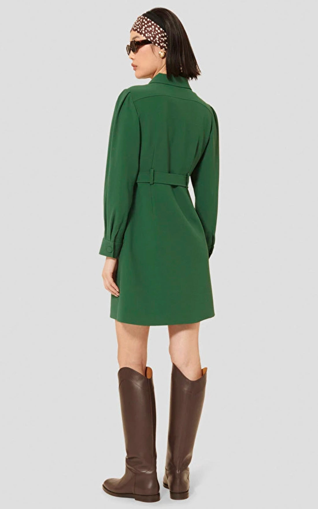 Roya Green Dress